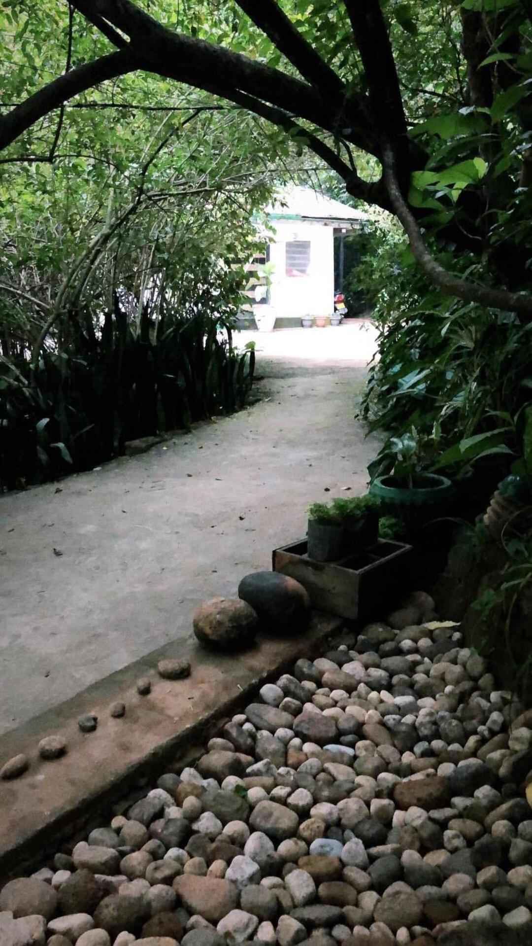 Surrey Bird Sanctuary & Holiday Resort Welimada Luaran gambar