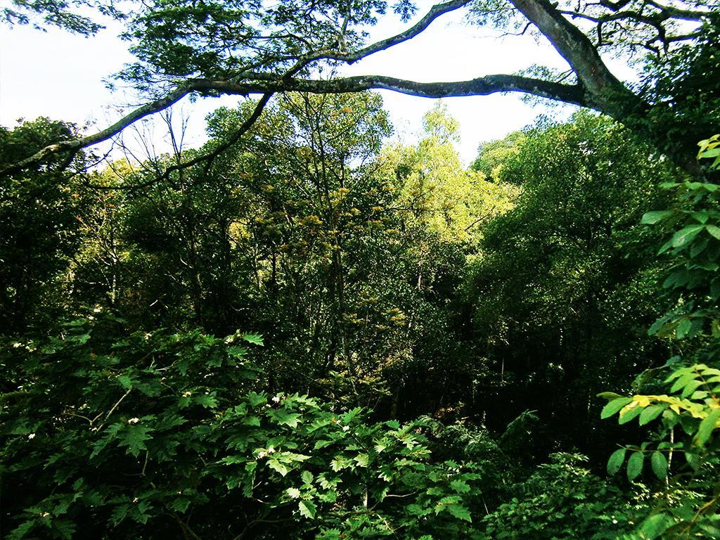 Surrey Bird Sanctuary & Holiday Resort Welimada Luaran gambar