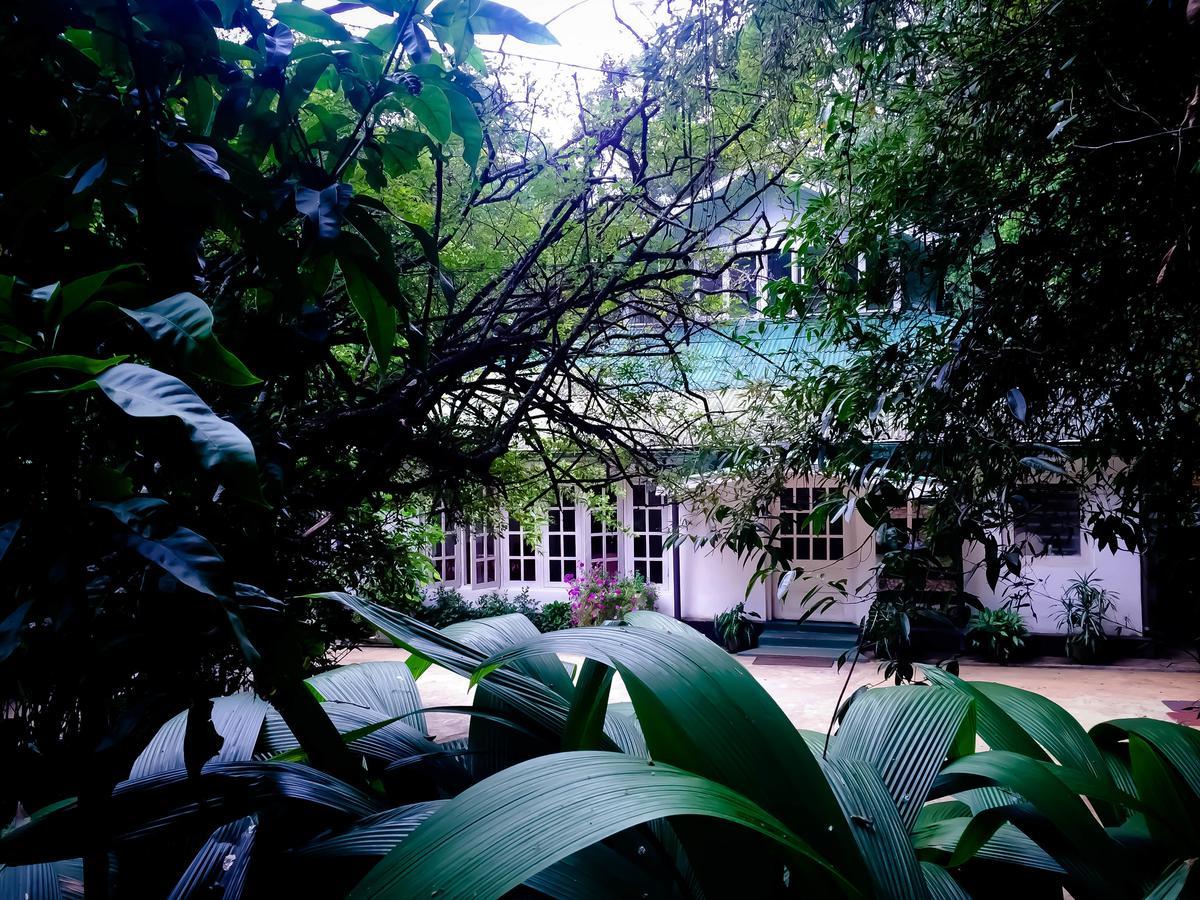 Surrey Bird Sanctuary & Holiday Resort Welimada Luaran gambar