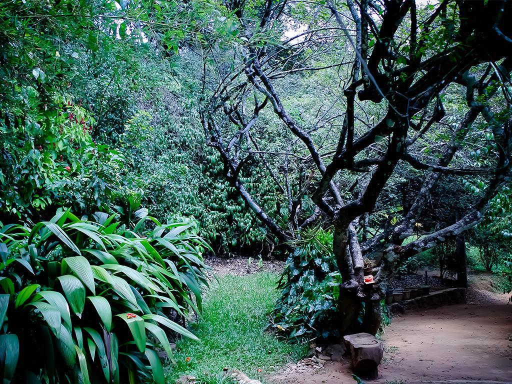 Surrey Bird Sanctuary & Holiday Resort Welimada Luaran gambar